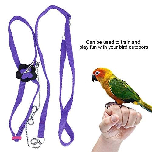 Bird Flying Rope for Macaw, African Greys, Parakeets Outdoor Training()