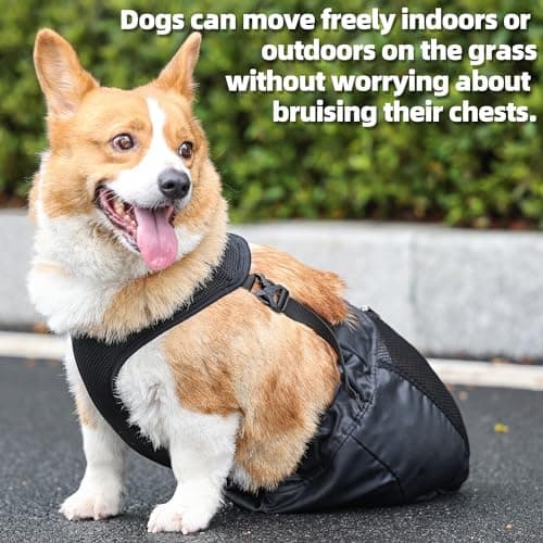 Dog Drag Bag for Disabled Paralyzed Rear Legs - XL
