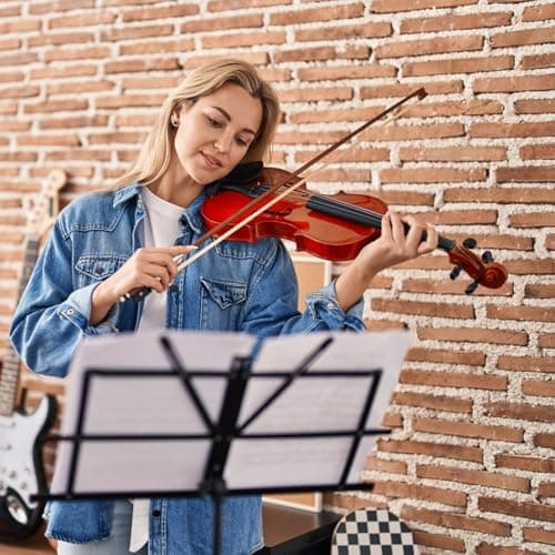 Natural Acoustic 4/4 Violin for Beginners Full Sized Musical Instruments