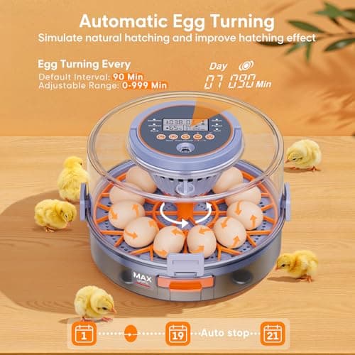 12-Egg Automatic Turning Incubator for Hatching Chickens, Ducks, Quail, Geese