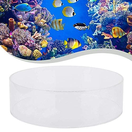 Coral Viewing Magnifier for Marine Aquarium Reef
