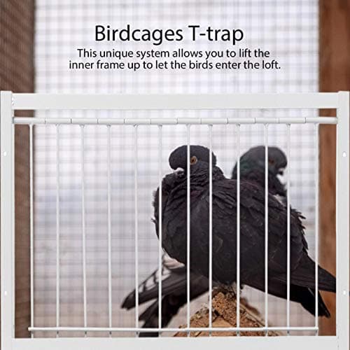 Pigeon Door T Trap Wire Bars Frame 53.5x26cm