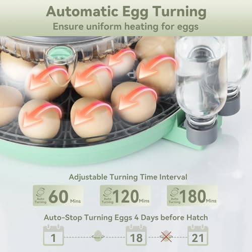 InIcubator 18 Egg Incubator with Auto Turning & Humidity Control - 360° Clear View for Hatching