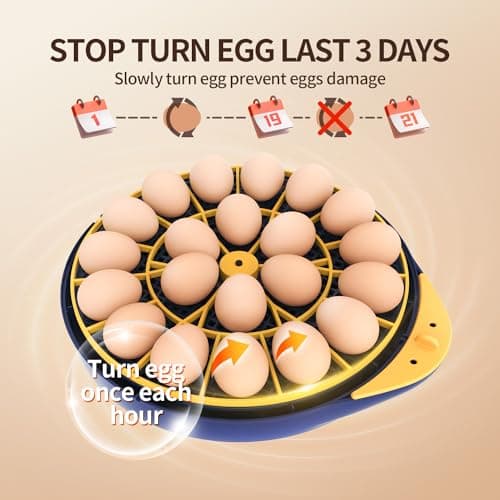 21-Egg Incubator with Temperature & Humidity Control, Automatic Turning, Blue