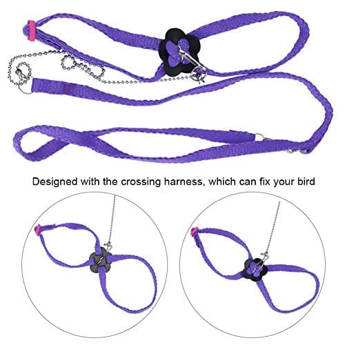 Bird Flying Rope for Macaw, African Greys, Parakeets Outdoor Training()