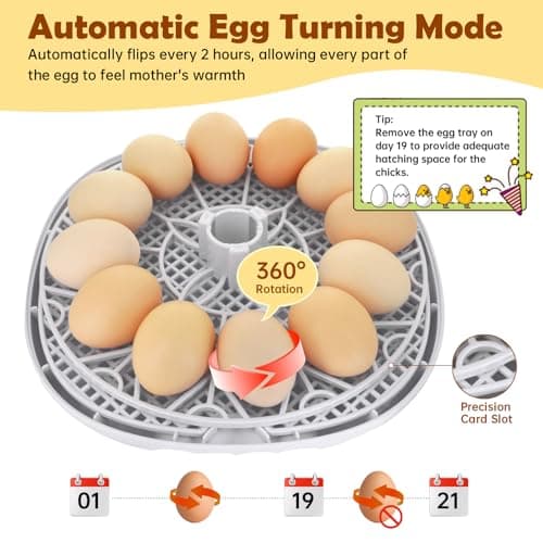 Automatic 12-Egg Incubator with 360° Window and Smart Display for Chick Hatching