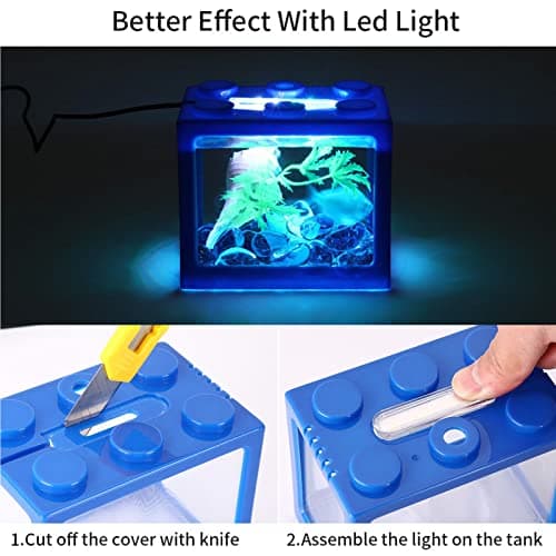 Mini Betta Fish Cube Decoration with LED Lighting for Desk