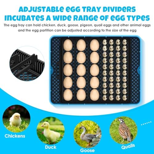 25 Egg Digital Incubator with Automatic Turning, Temperature & Humidity Control, LED Display