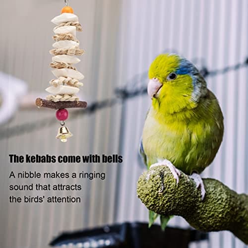 Zerodis Cuttlefish Bone Toy for Parrots, Budgie, African Greys