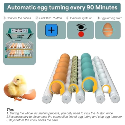 120 Egg Incubator with Automatic Turning, Humidity Control & Candler for Chicken & Duck Eggs