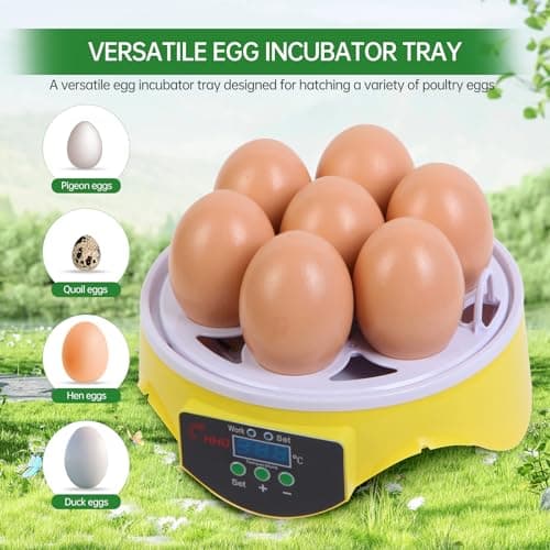 7-Egg 360° View Poultry Incubator, Temperature Controlled, Yellow, ZM003