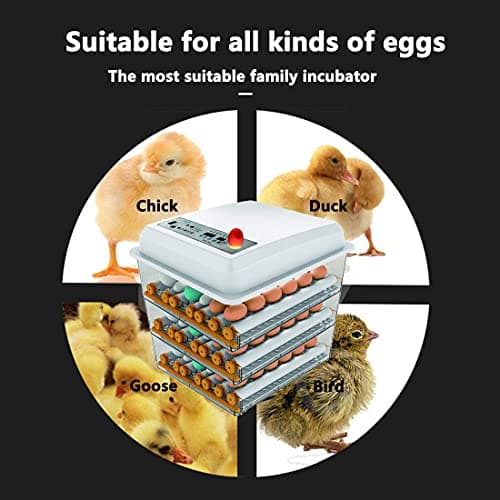 JAEDO Automatic Egg Incubator for Chickens, Ducks & Geese
