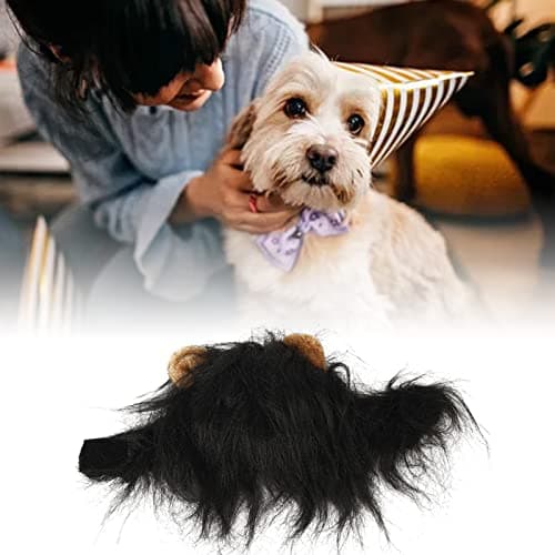 Black Hooded Fluffy Ears Pet Toy for Cosplay Cat Mane Wig