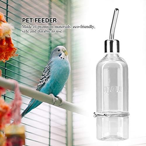 Automatic Pet Parrot Water Feeder with Stainless Steel Ball Nipple Cage