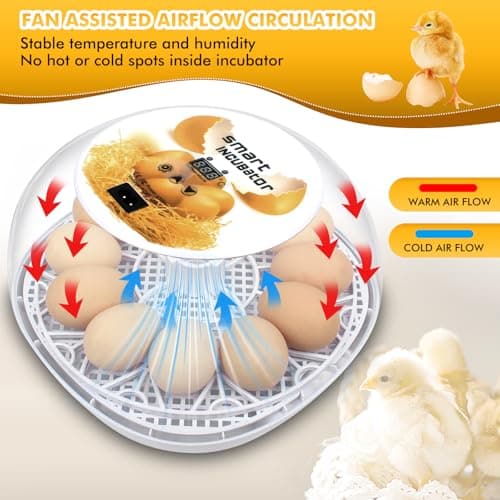 12-24 Egg Incubator with Automatic Flipping & Temperature Control