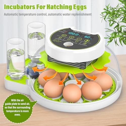 Automatic Egg Turner Chicken Incubator with Humidity Control, Holds 8 Eggs