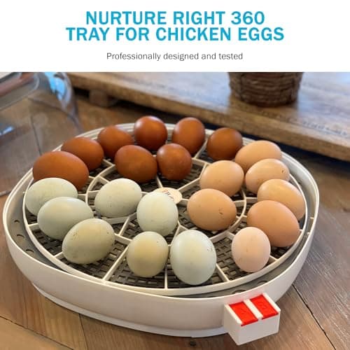 Durable Egg Tray for Nurture Right 360 Incubator - 22 Medium Chicken Eggs
