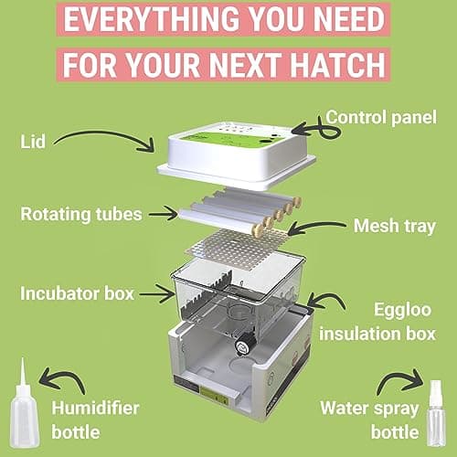 Egg Incubator Okkobi OBI-12 - 12 Eggs, Automatic Turning, Humidity Control