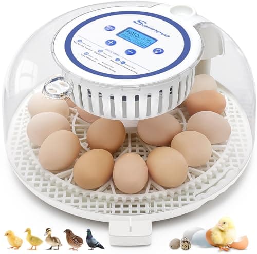Sailnovo Automatic Egg Incubator with Turning, Humidity Display & Candler (Blue)