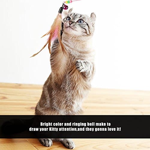 Zerodis Interactive Cat Teaser Wand Toy with Beads