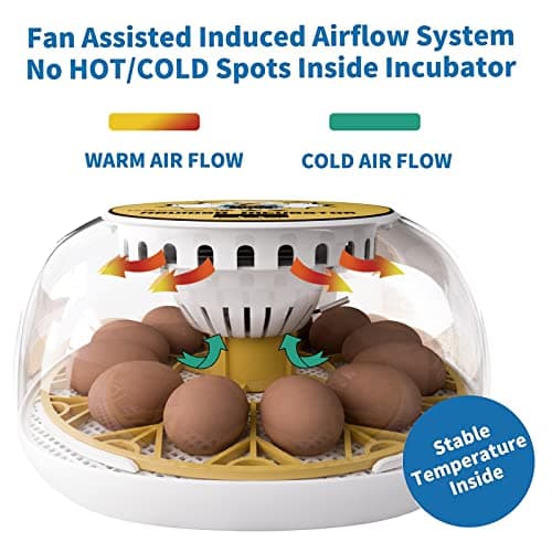 12-24 Egg Automatic Turning Incubator with Water Top-up, Fahrenheit Display, 360° View Poultry Hatcher