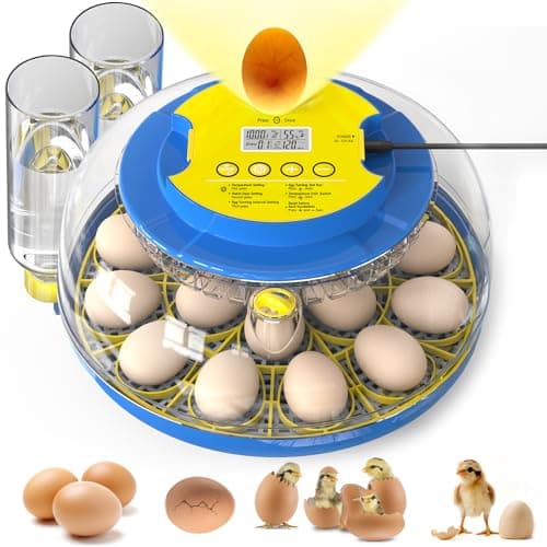 18-Egg Chicken, Quail, Duck, and Parrot Incubator with Automatic Turning and Humidity Control