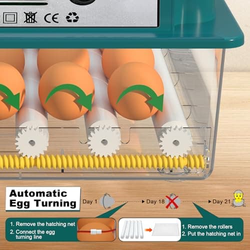 12-16 Egg Automatic Incubator for Chicken & Quail Eggs