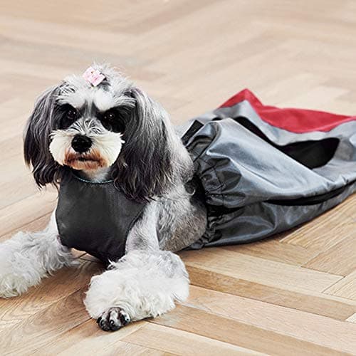 Zerodis Wear-Resistant Drag Bag for Paralyzed Dogs - Wheelchair Aid for Back Legs and Limbs (Medium)