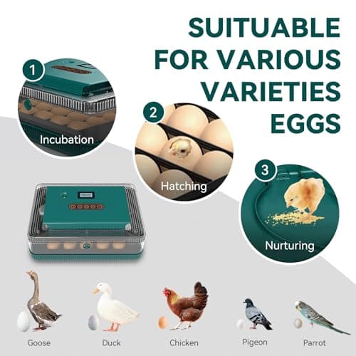 Ovatt Digital Egg Incubator with Auto Turning, Temp & Humidity Control for Hatching Chicken, Duck, Quail, Goose Eggs