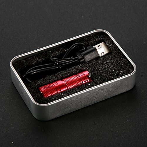 Zerodis Mini LED Keychain Flashlight, USB Rechargeable, 100 Lumens, Perfect for Reading, Dog Walking, Camping, Hiking