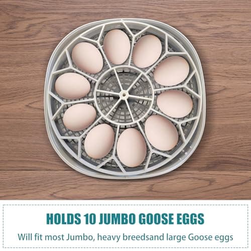 Jumbo Goose Heavy Incubator - Maximum Capacity 10 for 360 Degree Care