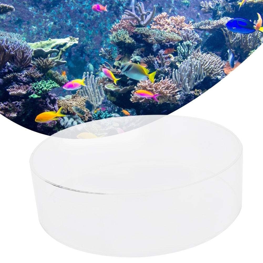 Coral Viewing Magnifier for Marine Aquarium Reef