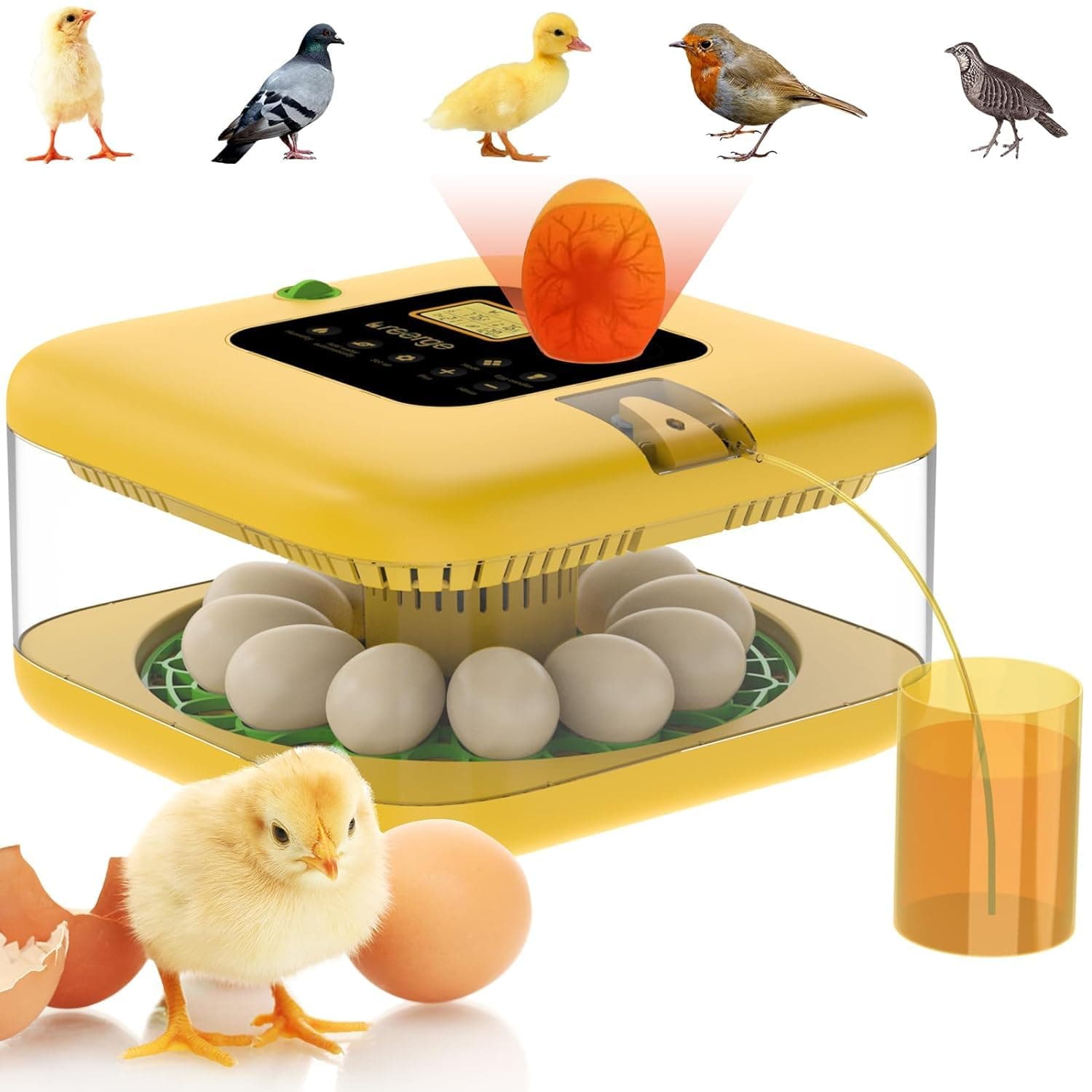 Duck and Quail Incubators with Humidity & Temp Control & 360° View & Auto Turner & Hatch Day Display (Fahrenheit ℉)