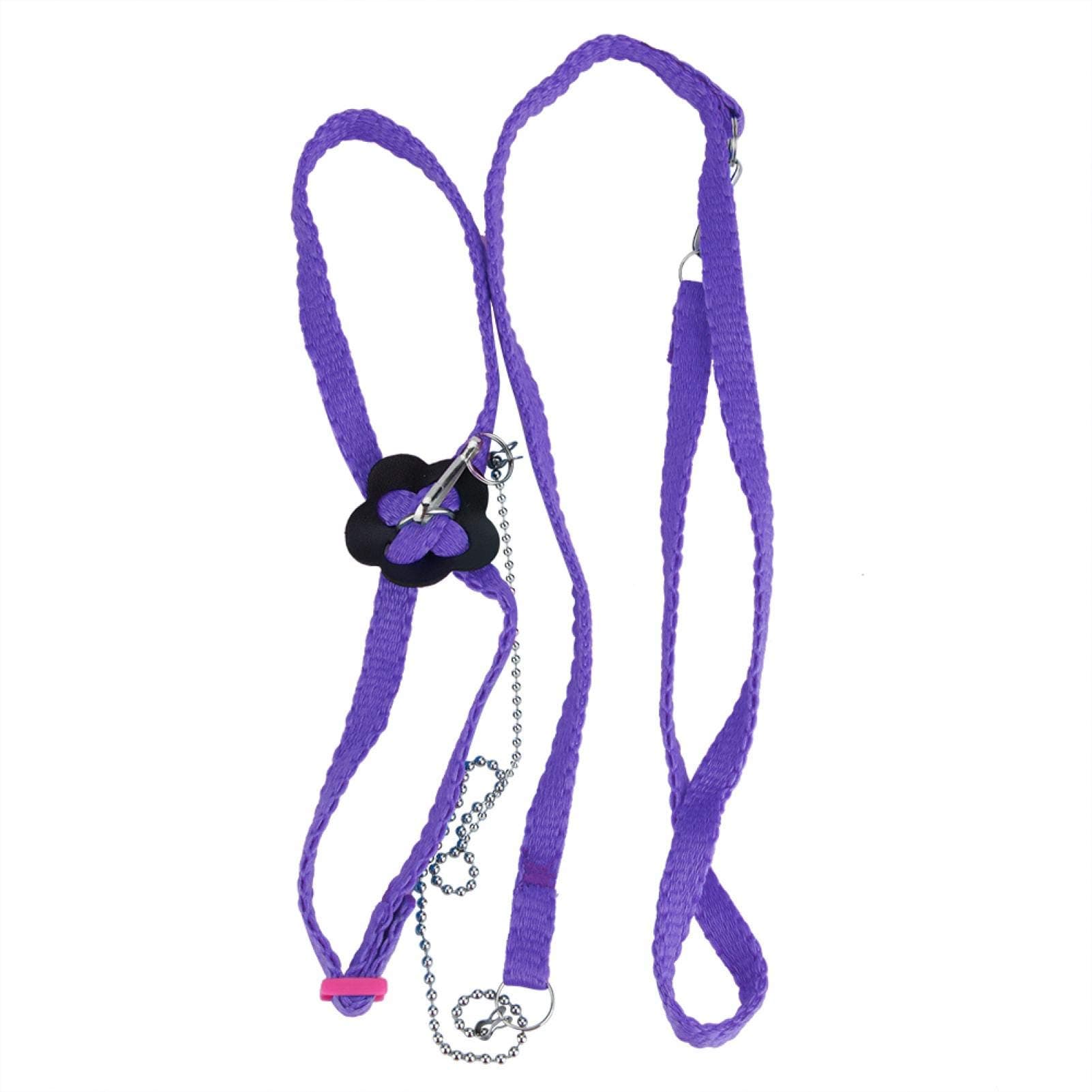Bird Flying Rope for Macaw, African Greys, Parakeets Outdoor Training()