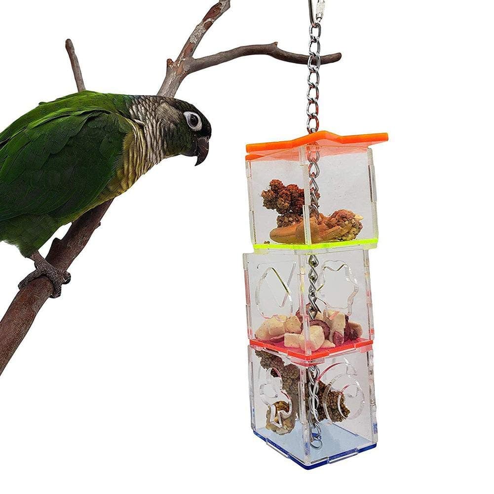 Parrot Foraging Ball & Swing Toy Feeding Kit
