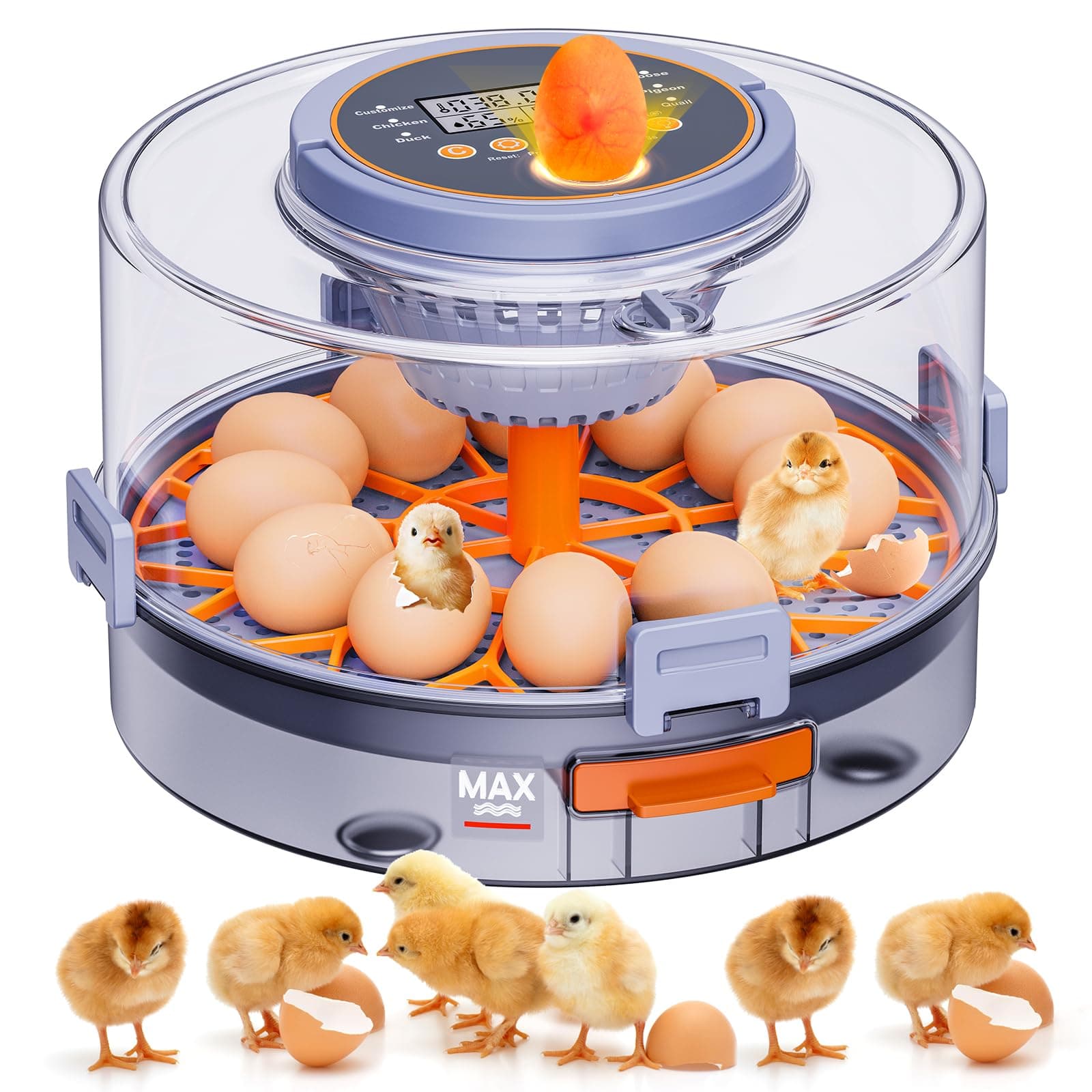 12-Egg Automatic Turning Incubator for Hatching Chickens, Ducks, Quail, Geese