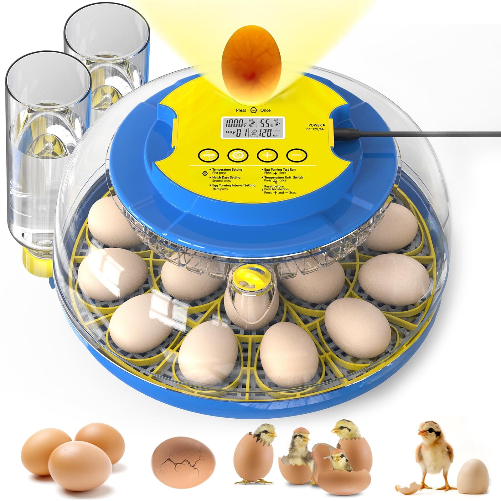 18-Egg Chicken, Quail, Duck, and Parrot Incubator with Automatic Turning and Humidity Control