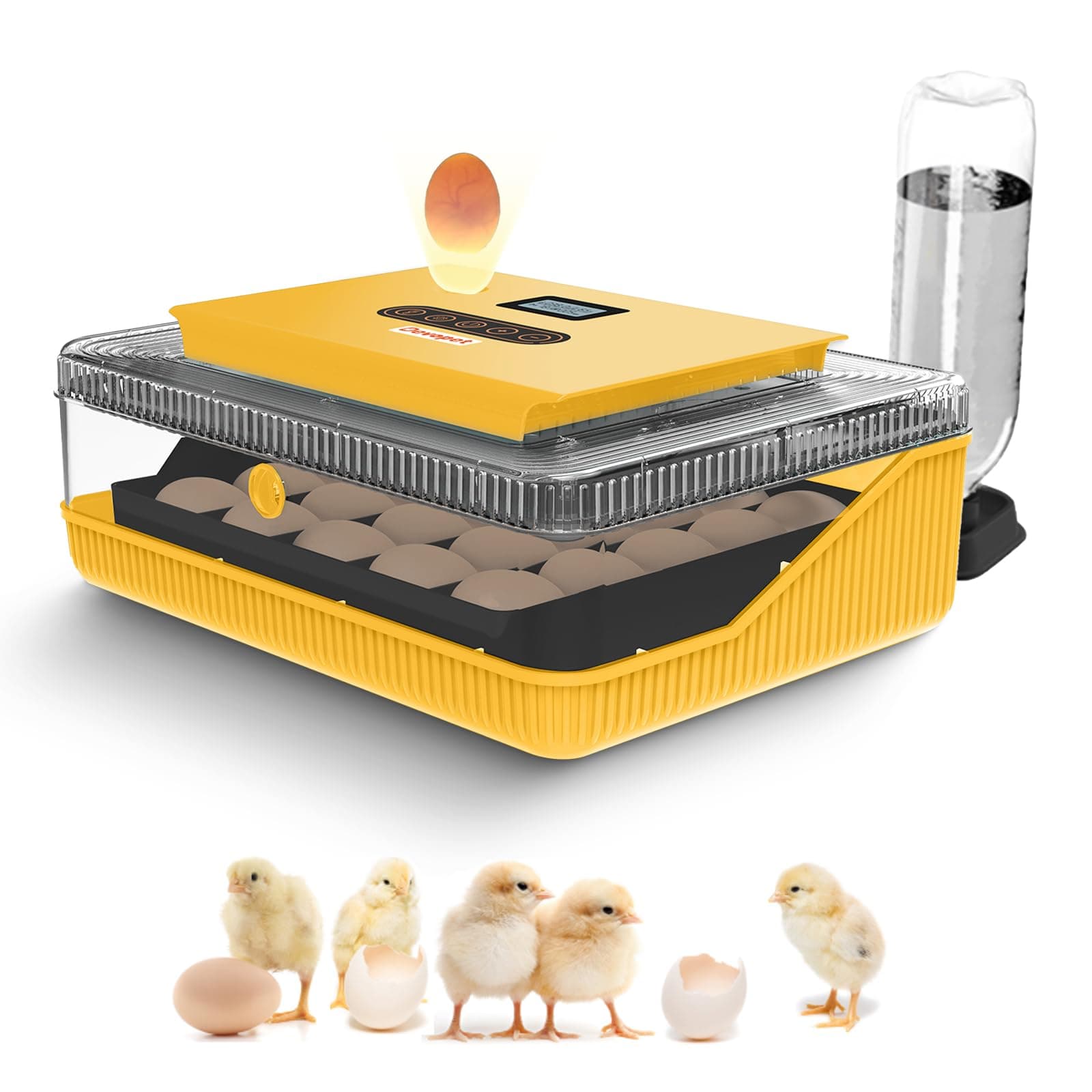 Egg Incubator for Hatching Quail, Chicken, Duck, Goose Eggs