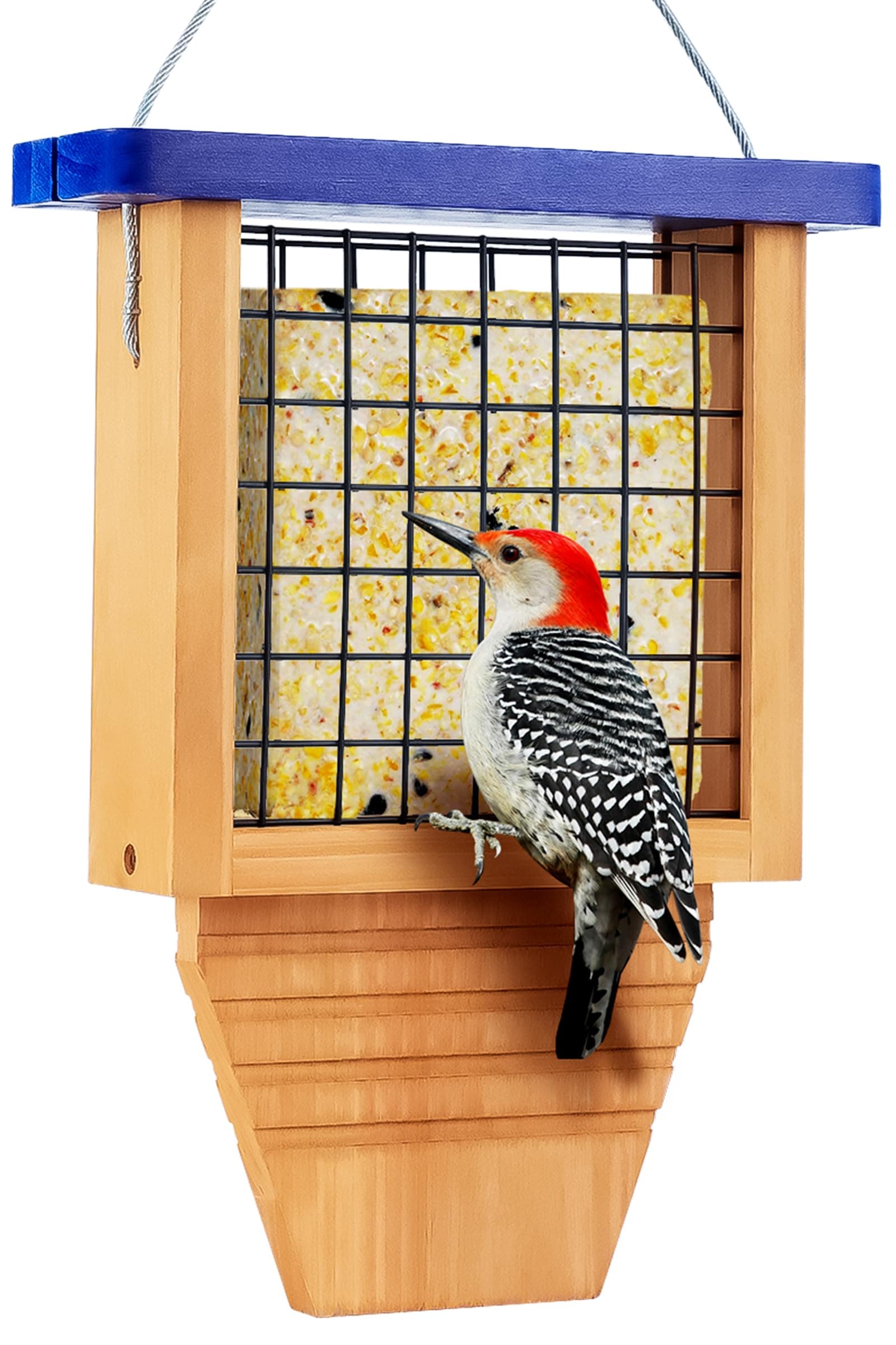 Woodpecker Tail Prop Suet Feeder, Blue, Hanging Outside